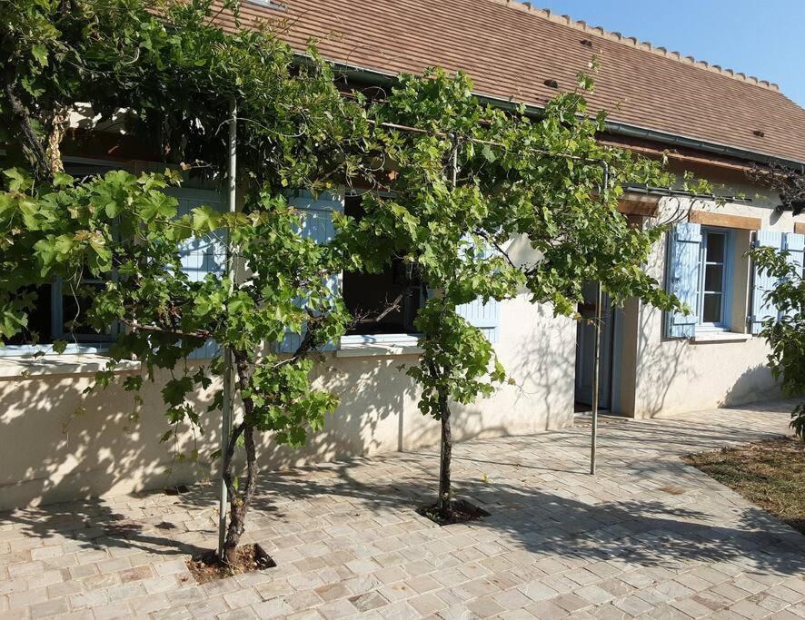 Villa Les Annexes Verdun-sur-le-Doubs Esterno foto