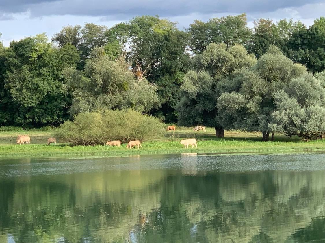 Villa Les Annexes Verdun-sur-le-Doubs Esterno foto