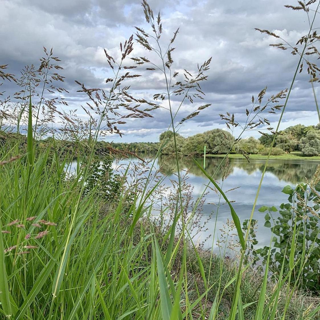 Villa Les Annexes Verdun-sur-le-Doubs Esterno foto