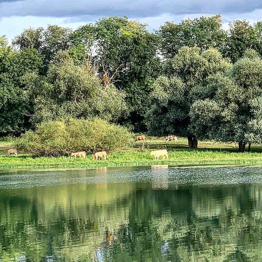 Villa Les Annexes Verdun-sur-le-Doubs Esterno foto